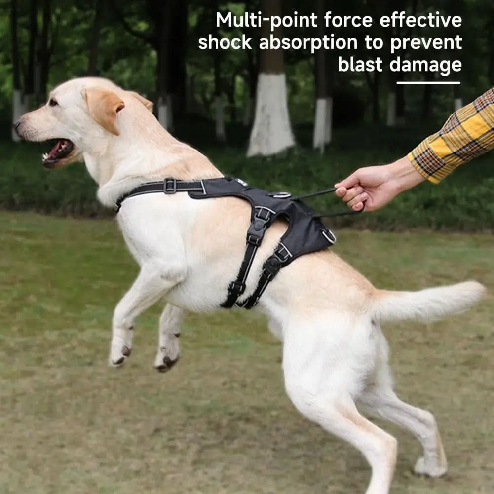 CalmWalk nylon kutyahám fényvisszaverő, menekülésbiztos, nyugodt sétákhoz