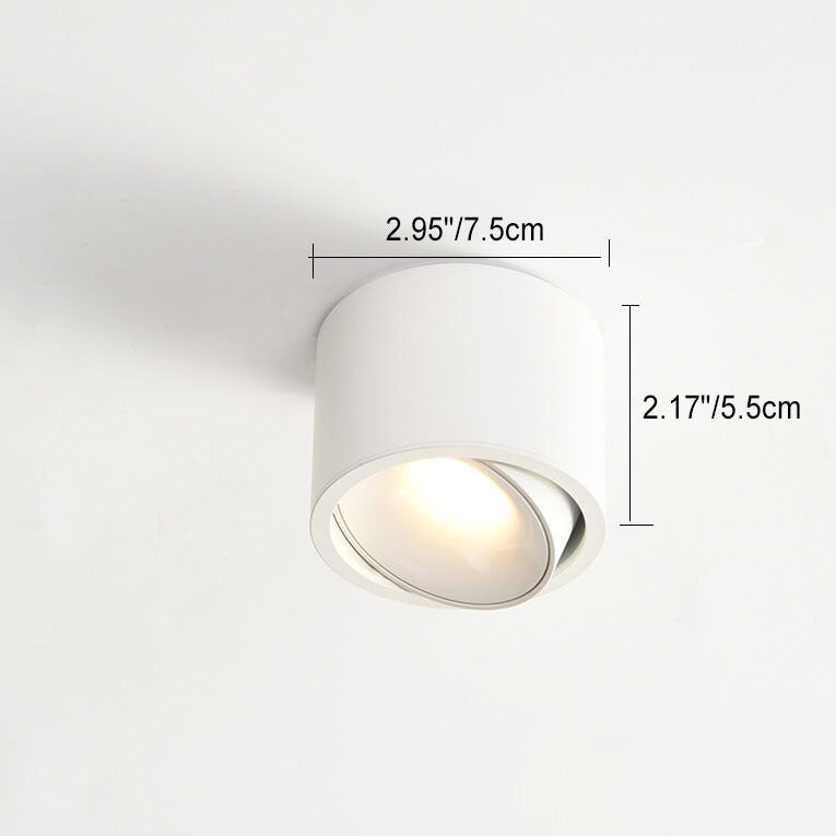 AstraGlow Round LED Spotlight Flush Mount Ceiling Light