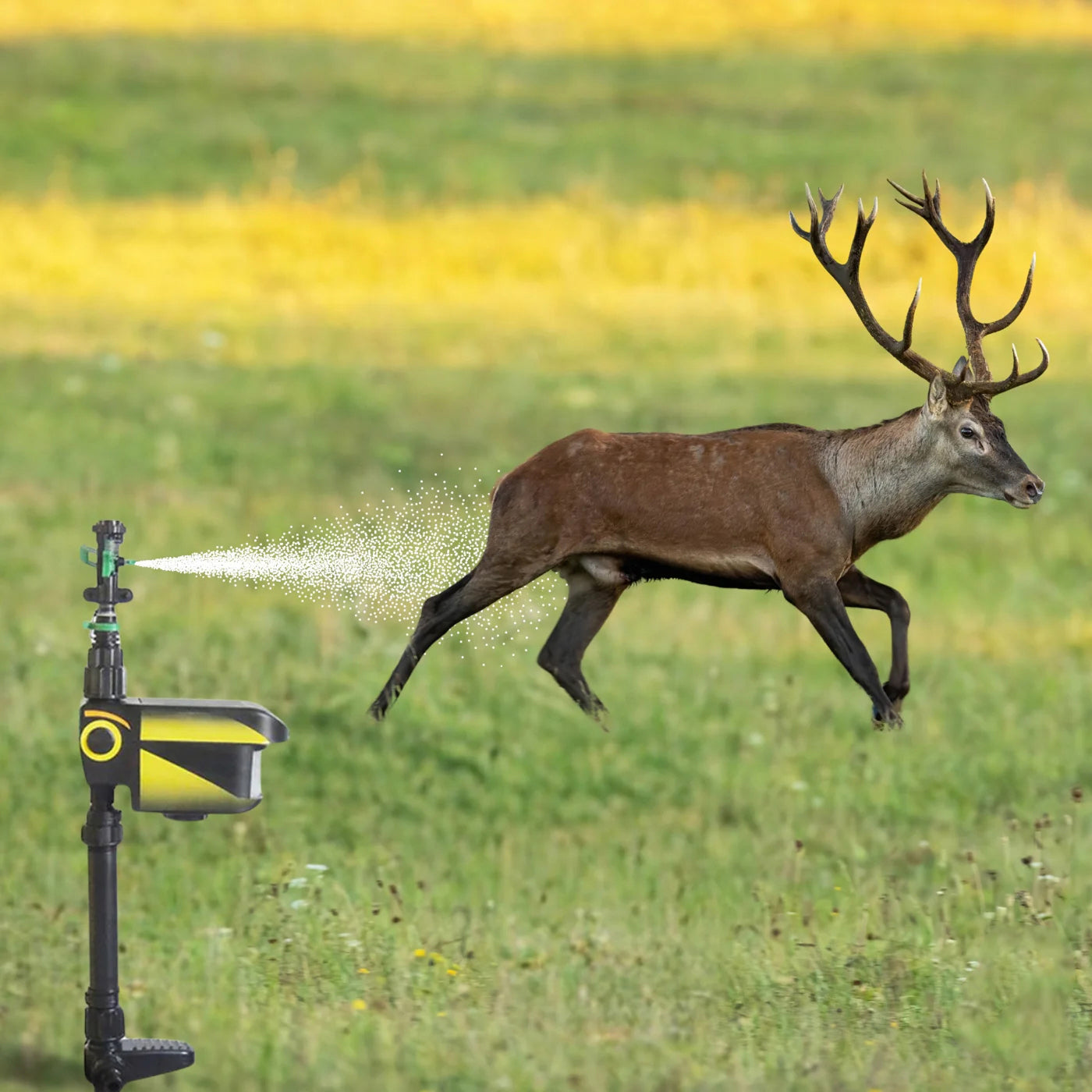 Solar Powered Motion Activated Animal Deterrent Sprinkler
