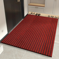 TerraNest Weatherproof Outdoor Doormat - Durable and Clean