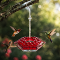 Kolibri-Futterspender mit ameisensicherer Barriere und auslaufsicherem Design