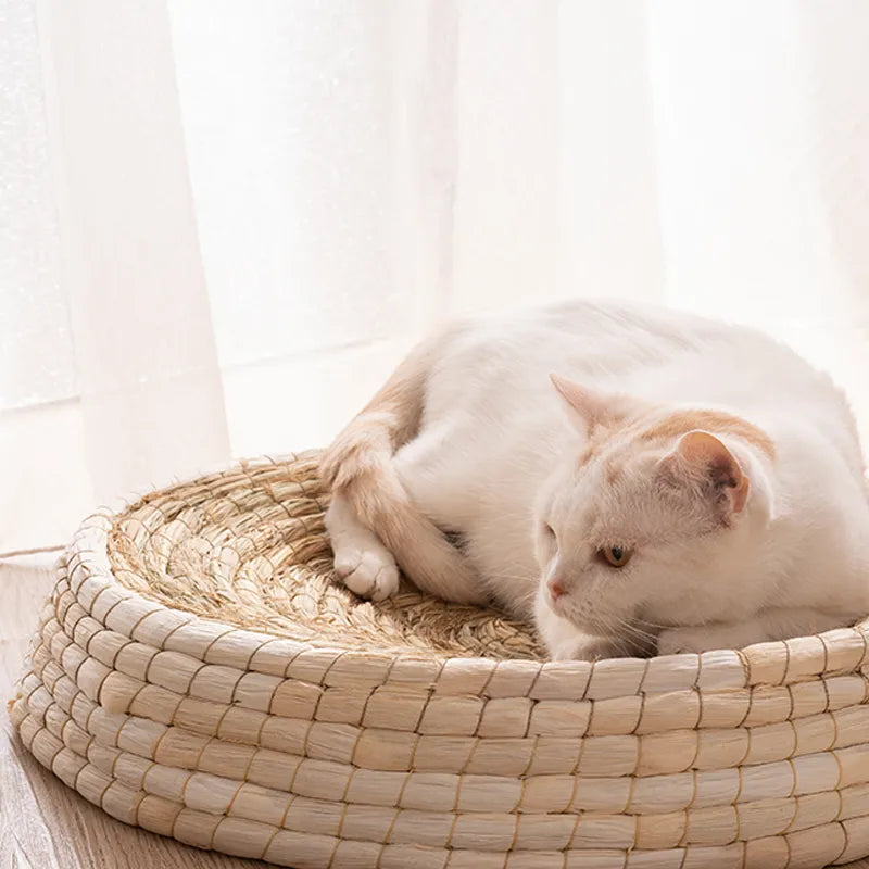 Cozy Round Cat Bed With Wool Felt Handmade Nest For Cats