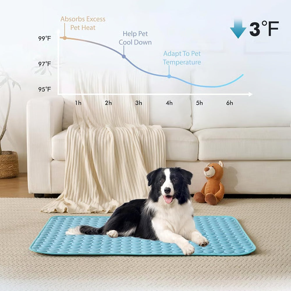 Cooling Mat For Dogs In Summer Weather To Keep Pets Comfortable