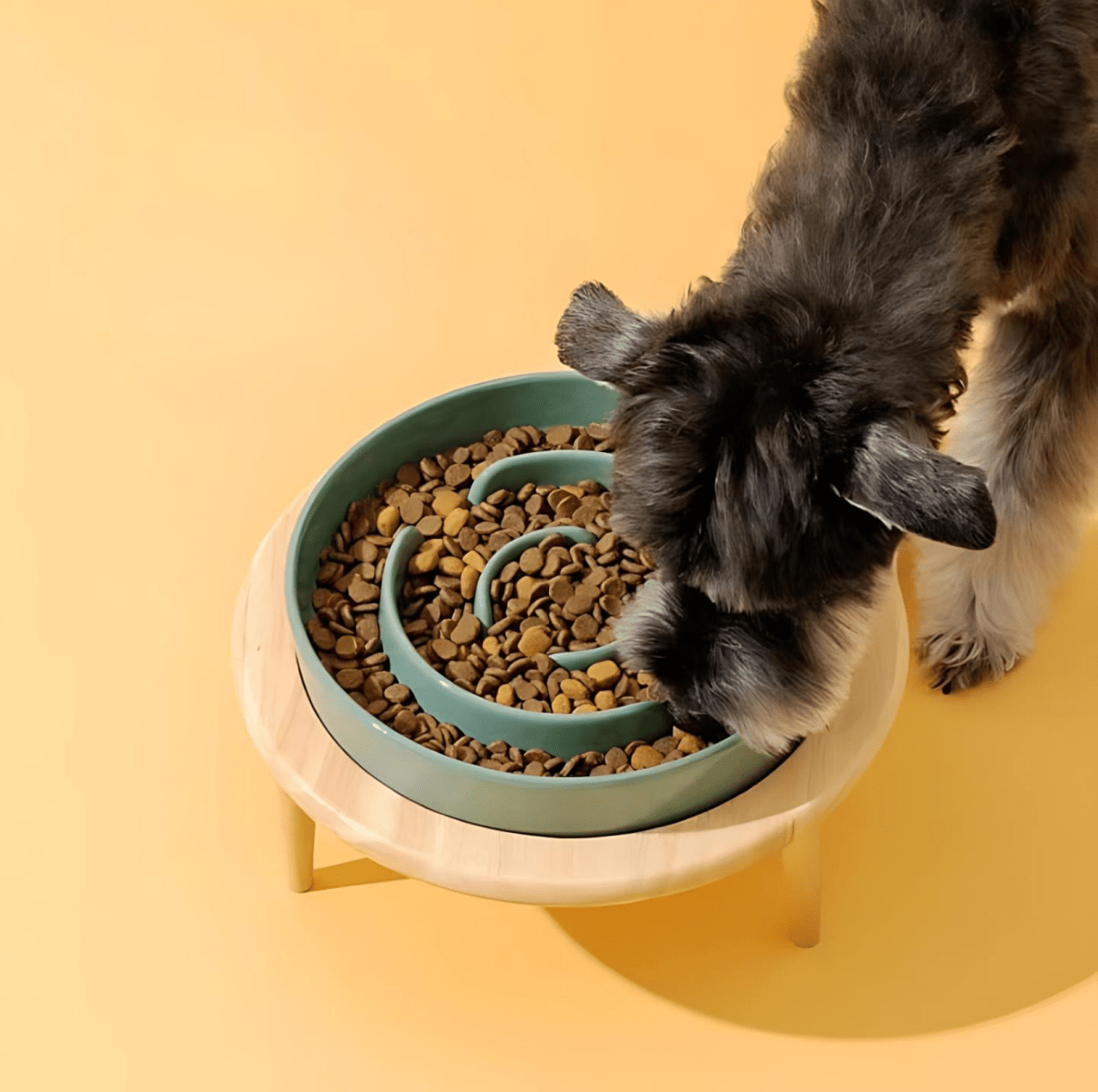 Ciotola WhiskerNest Slow Feeder per Cani e Gatti, Alimentazione Sana Premium
