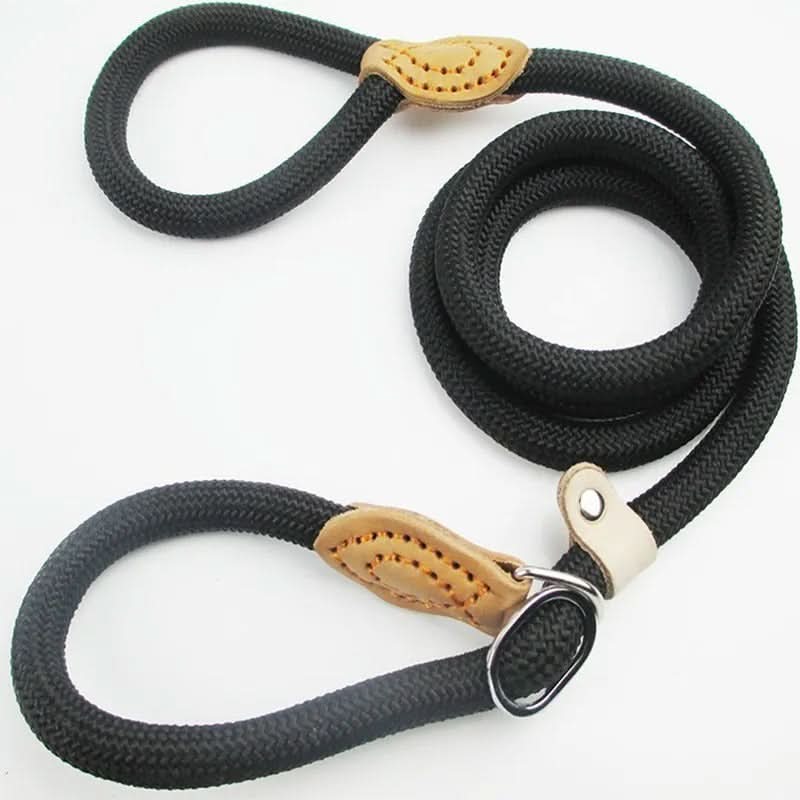 Summit Rope Climbing Rope Dog Leash For Active Dogs Maximum Safety And Control