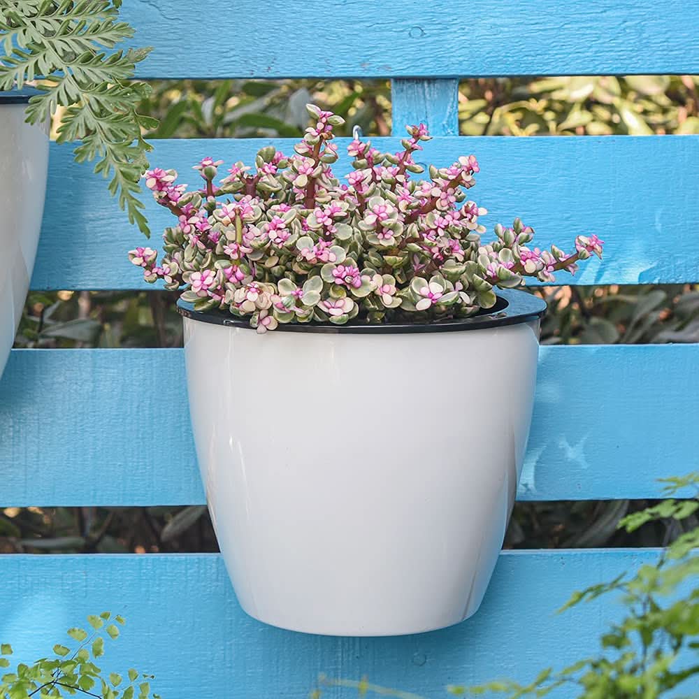 VerdantWall lodret selvvandende blomsterpotte til små rum med nem vedligeholdelse