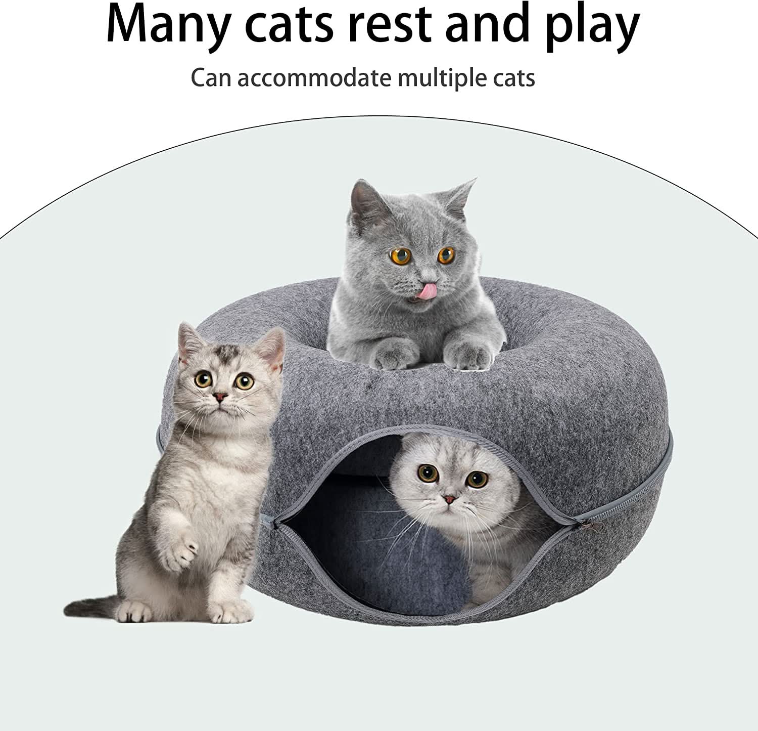 Tunnel Deluxe Whisker Haven per Gatti con Angolo Nanna Accogliente per Gatti da Interno