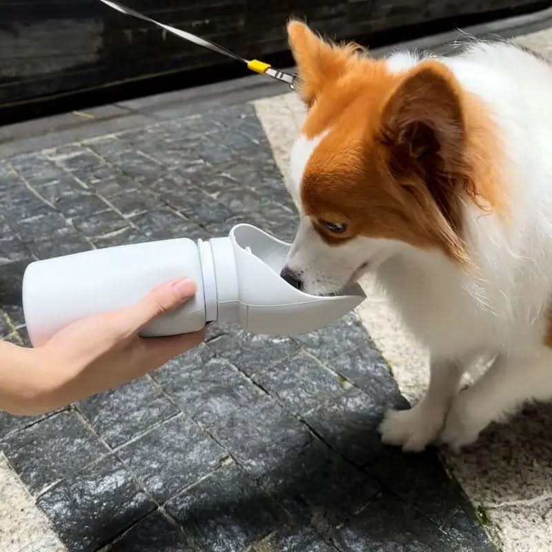Skládací láhev na vodu pro domácí mazlíčky TrailMate s kapacitou 550 ml
