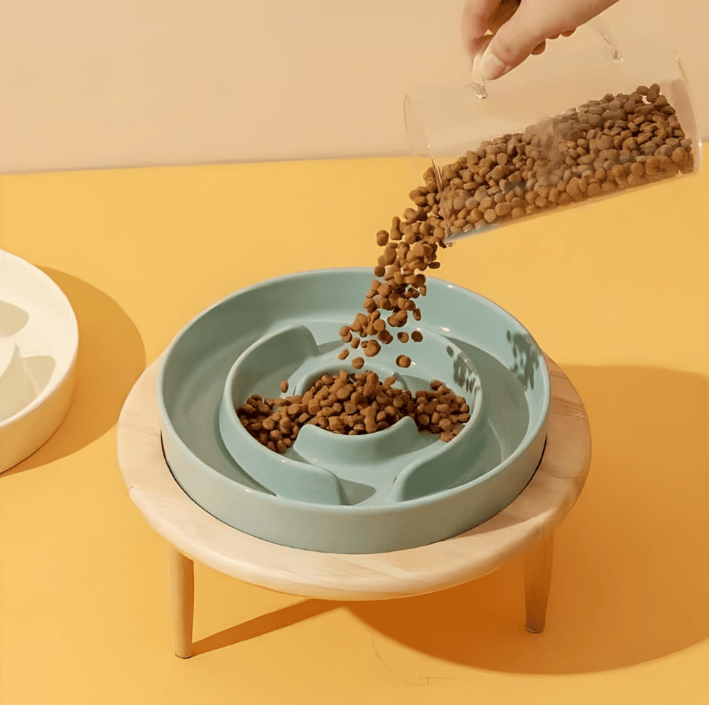 Ciotola WhiskerNest Slow Feeder per Cani e Gatti, Alimentazione Sana Premium