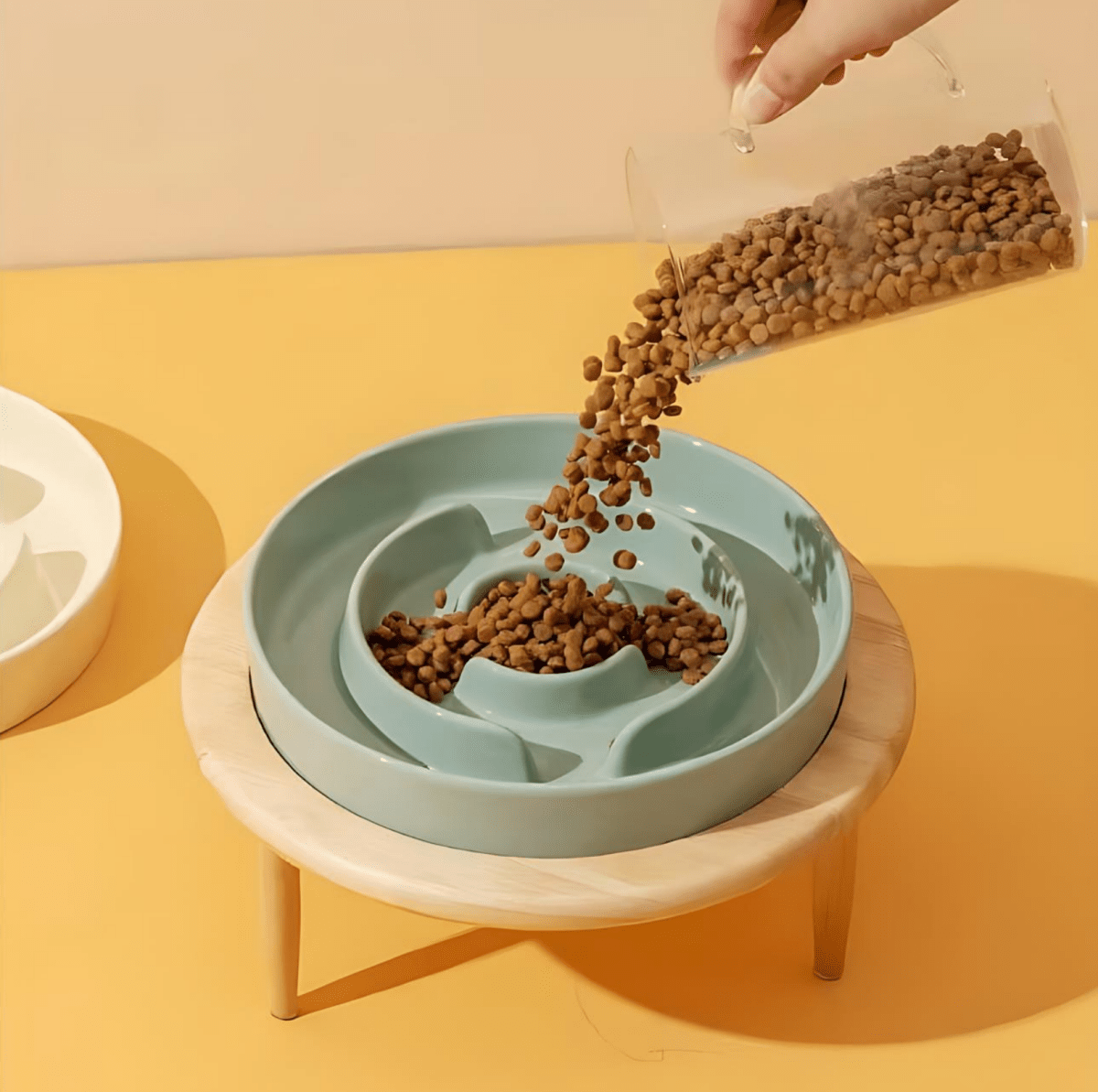 Ciotola WhiskerNest Slow Feeder per Cani e Gatti, Alimentazione Sana Premium