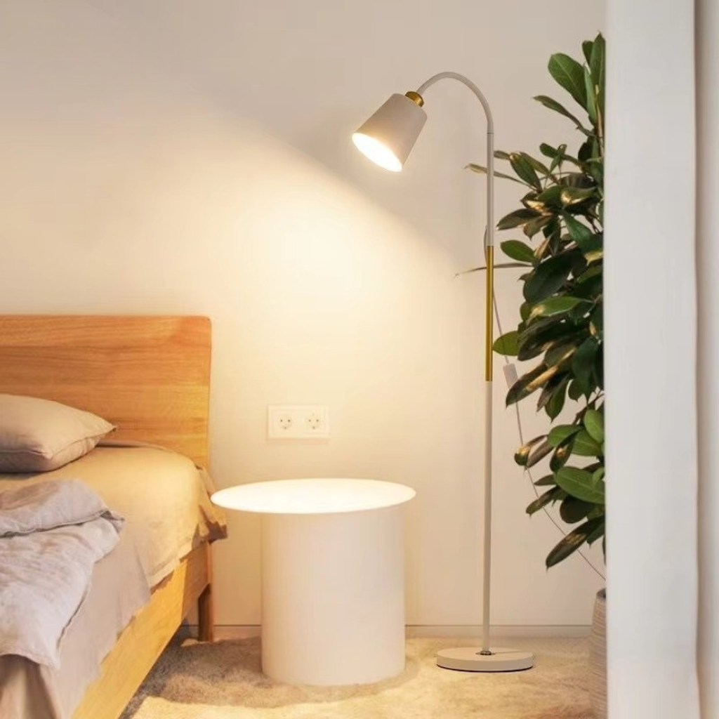 Modern Floor Lamp With Adjustable Head For Reading And Ambience