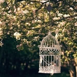 Système de Suspension EverRise pour Plantes et Nichoirs, Hauteur Réglable