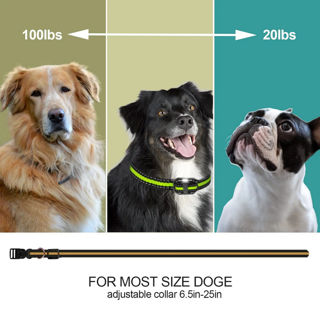 Advanced Dog Training Collar with Remote- 3 Training Modes (Beep, Vibration, Shock)
