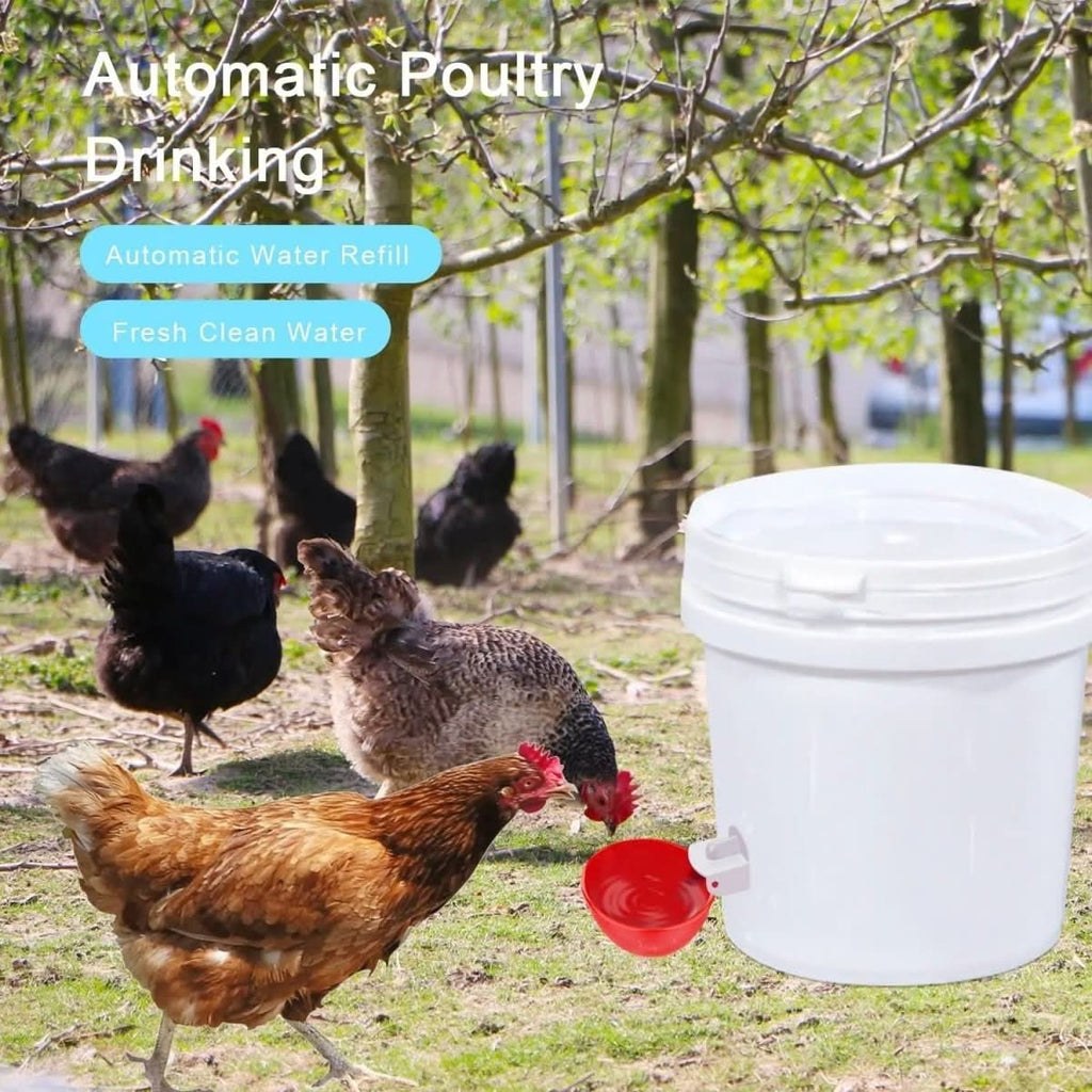 AviGuard Automatic Chicken Waterer For Healthy Flocks Keeps Backyard Water Fresh