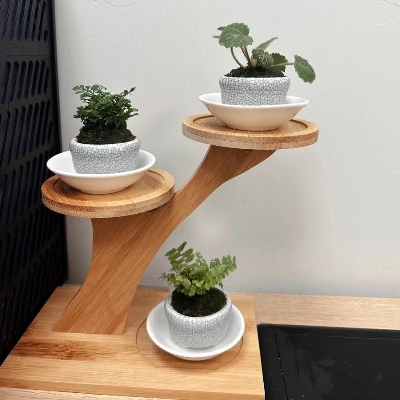 Everova Minimalist Bamboo Two Tier Stand for Eco Home and Office Storage