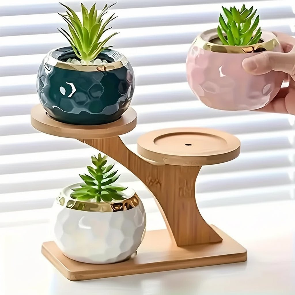 Everova Minimalist Bamboo Two Tier Stand for Eco Home and Office Storage