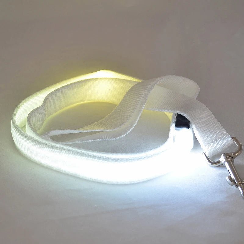 NovaTrail LED Reflective Night Walkers Dog Leash With USB Rechargeable Battery