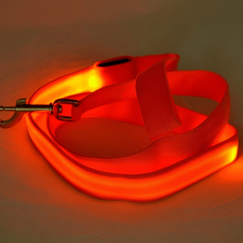 NovaTrail LED Reflective Night Walkers Dog Leash With USB Rechargeable Battery
