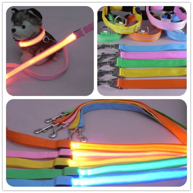 NovaTrail LED Reflective Night Walkers Dog Leash With USB Rechargeable Battery