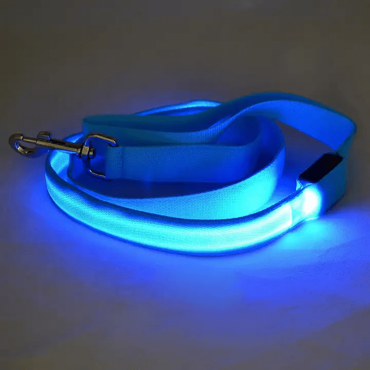 NovaTrail LED Reflective Night Walkers Dog Leash With USB Rechargeable Battery