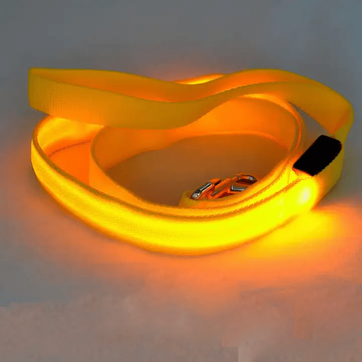 NovaTrail LED Reflective Night Walkers Dog Leash With USB Rechargeable Battery