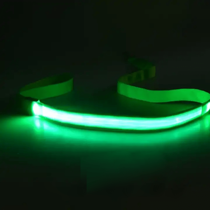 NovaTrail LED Reflective Night Walkers Dog Leash With USB Rechargeable Battery