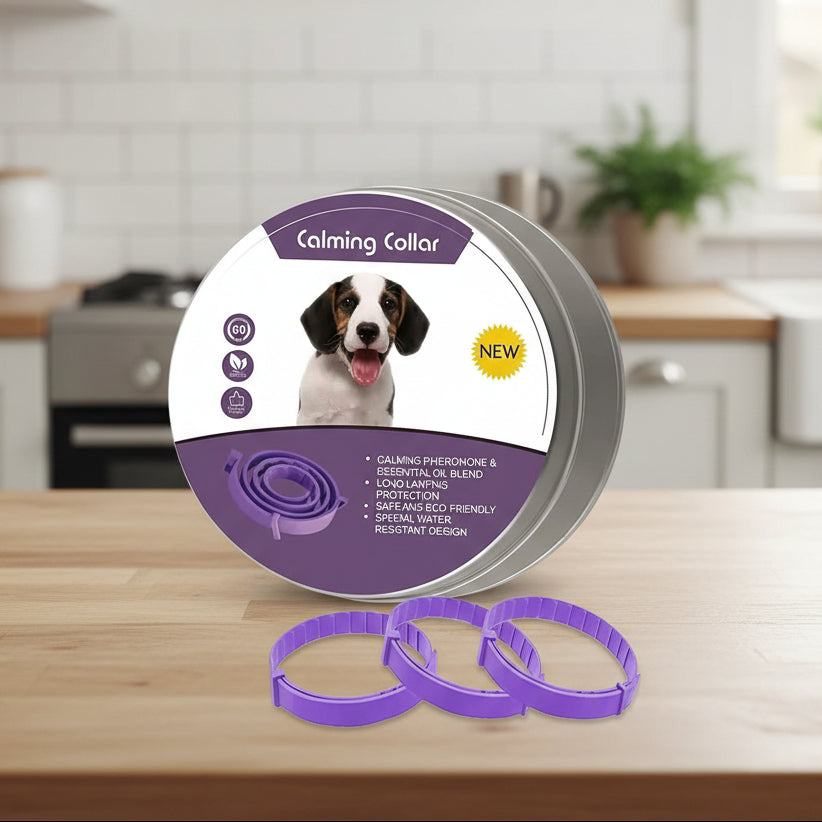 Collier CalmPaws Apaisant Avec Phéromones Pour Chiens Anxieux Détente Sans Stress