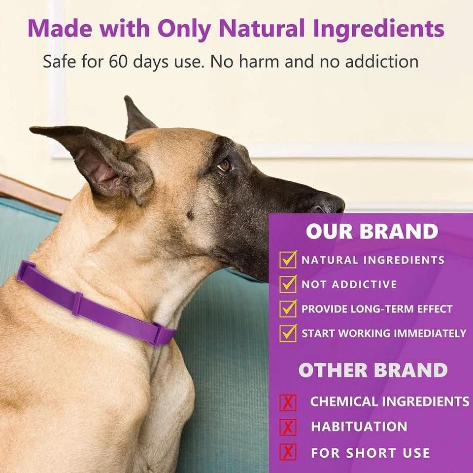 Collier CalmPaws Apaisant Avec Phéromones Pour Chiens Anxieux Détente Sans Stress