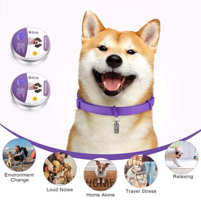 Collier CalmPaws Apaisant Avec Phéromones Pour Chiens Anxieux Détente Sans Stress