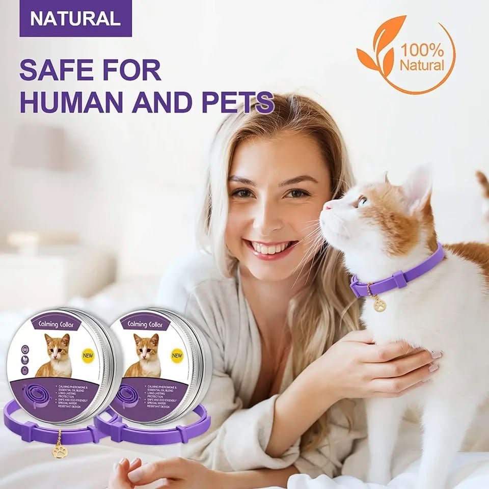 Collier CalmPaws Apaisant Avec Phéromones Pour Chiens Anxieux Détente Sans Stress
