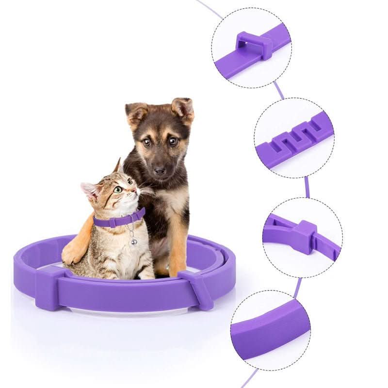 Collier CalmPaws Apaisant Avec Phéromones Pour Chiens Anxieux Détente Sans Stress