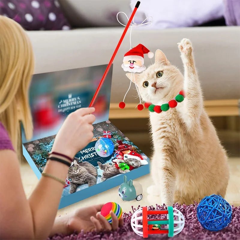 Calendario dell'Avvento WhiskerJoy 2025 con 23 giocattoli di erba gatta per amanti dei gatti