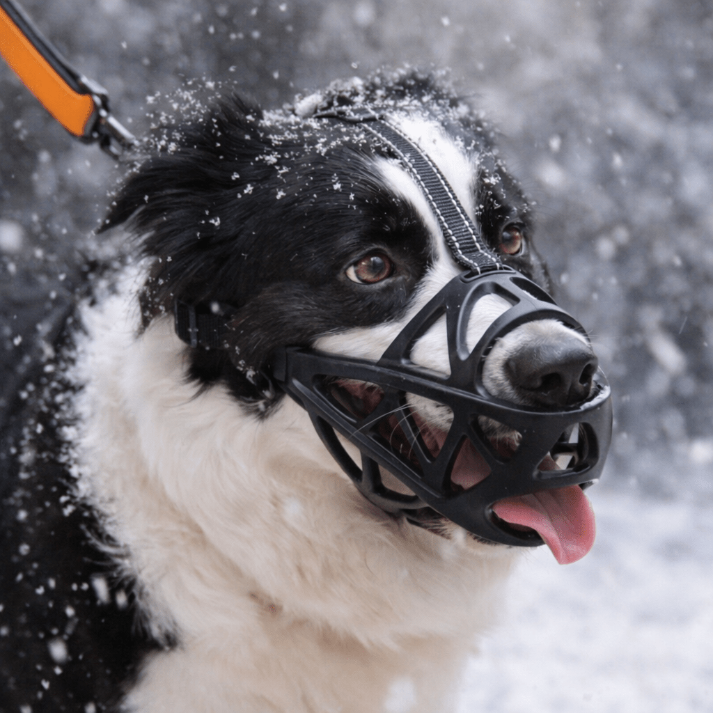 Focinho Suave KindPaws para Cão para Controlo Seguro Diário e Conforto Respirável