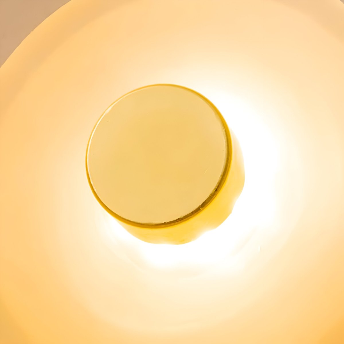Japandi Style Curved Glass Wall Sconce LED 1-Light Fixture