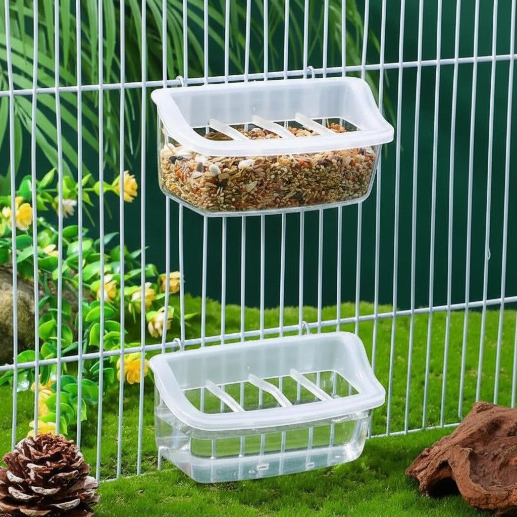 Clear Wing Parrot Feeder 360 Degree Transparent Hygienic Eco Friendly