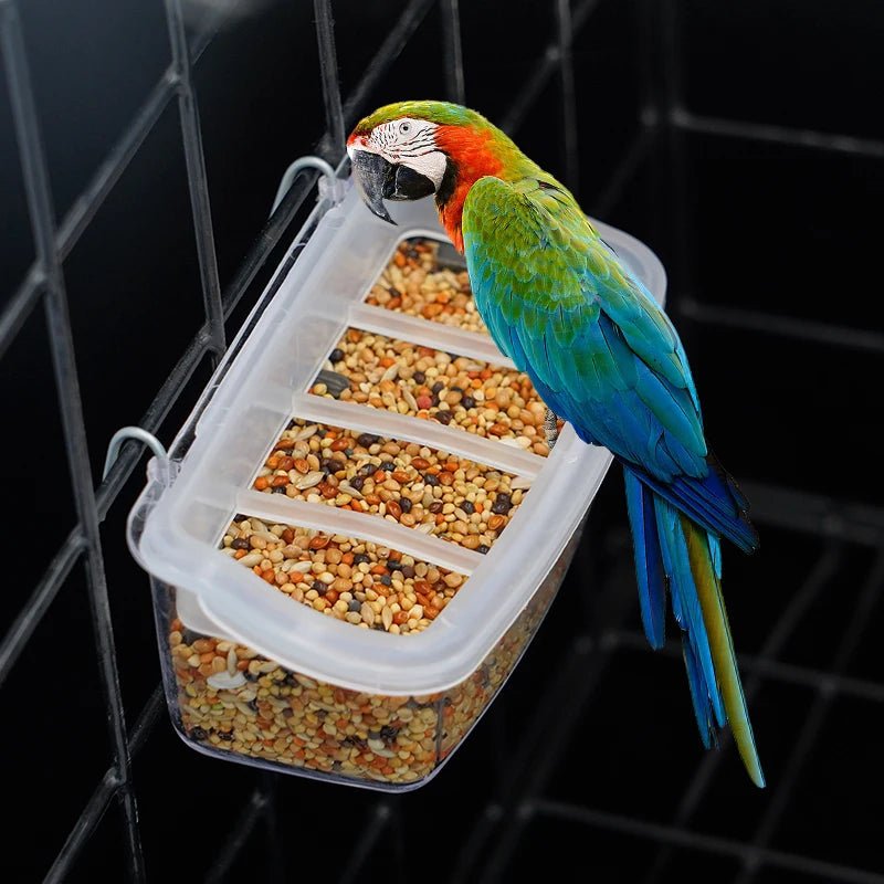 Clear Wing Parrot Feeder 360 Degree Transparent Hygienic Eco Friendly