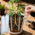 ROOTFLOW Root Aeration Pipes for Healthy Root Growth