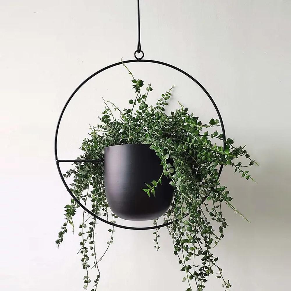 VerdaFrame Modern Minimalist Wall Mounted Indoor Planter