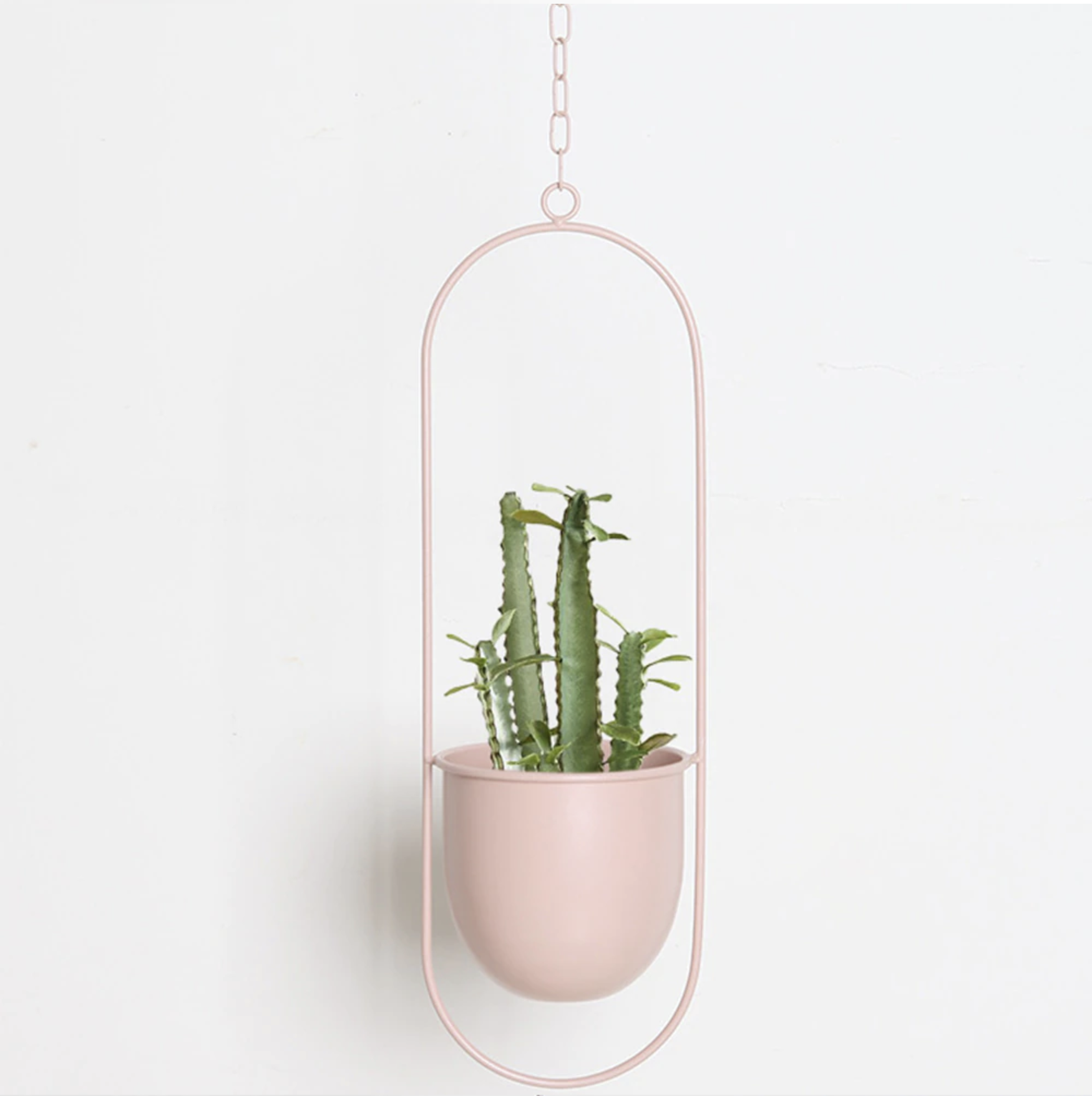 VerdaFrame Modern Minimalist Wall Mounted Indoor Planter