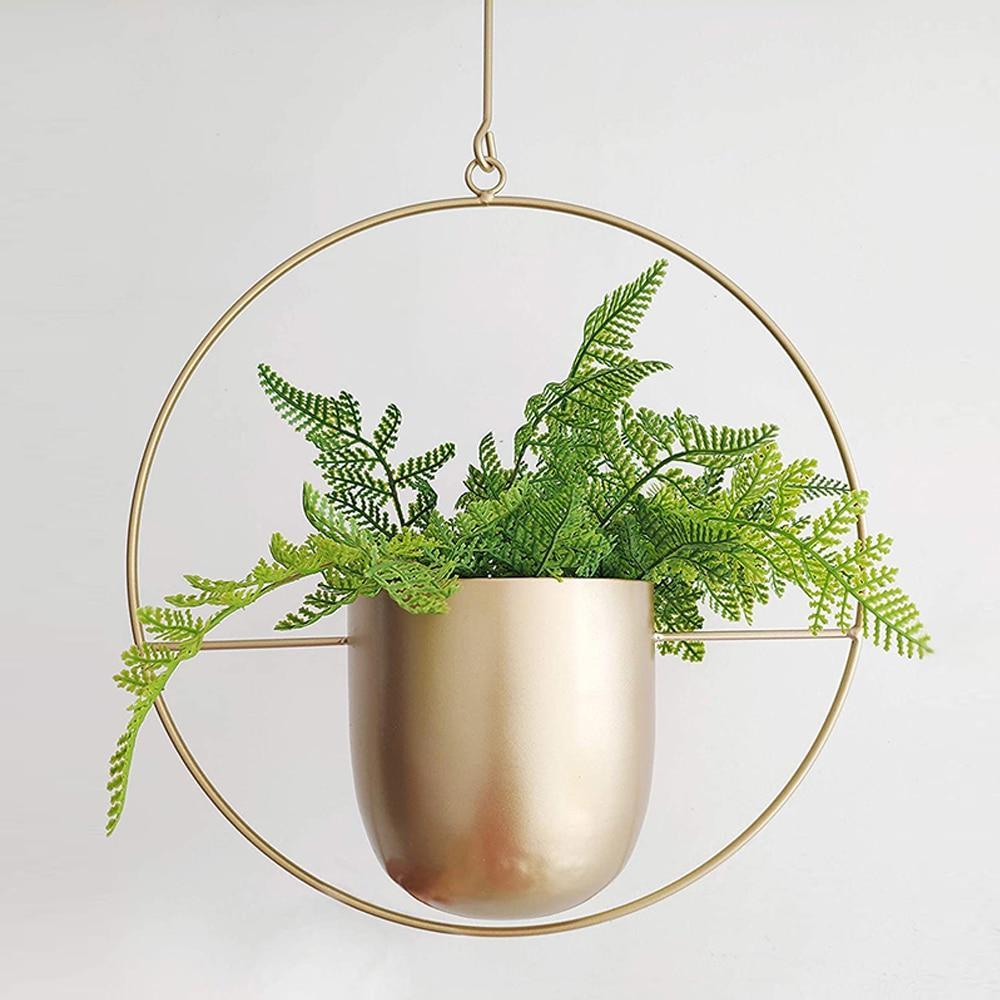 VerdaFrame Modern Minimalist Wall Mounted Indoor Planter