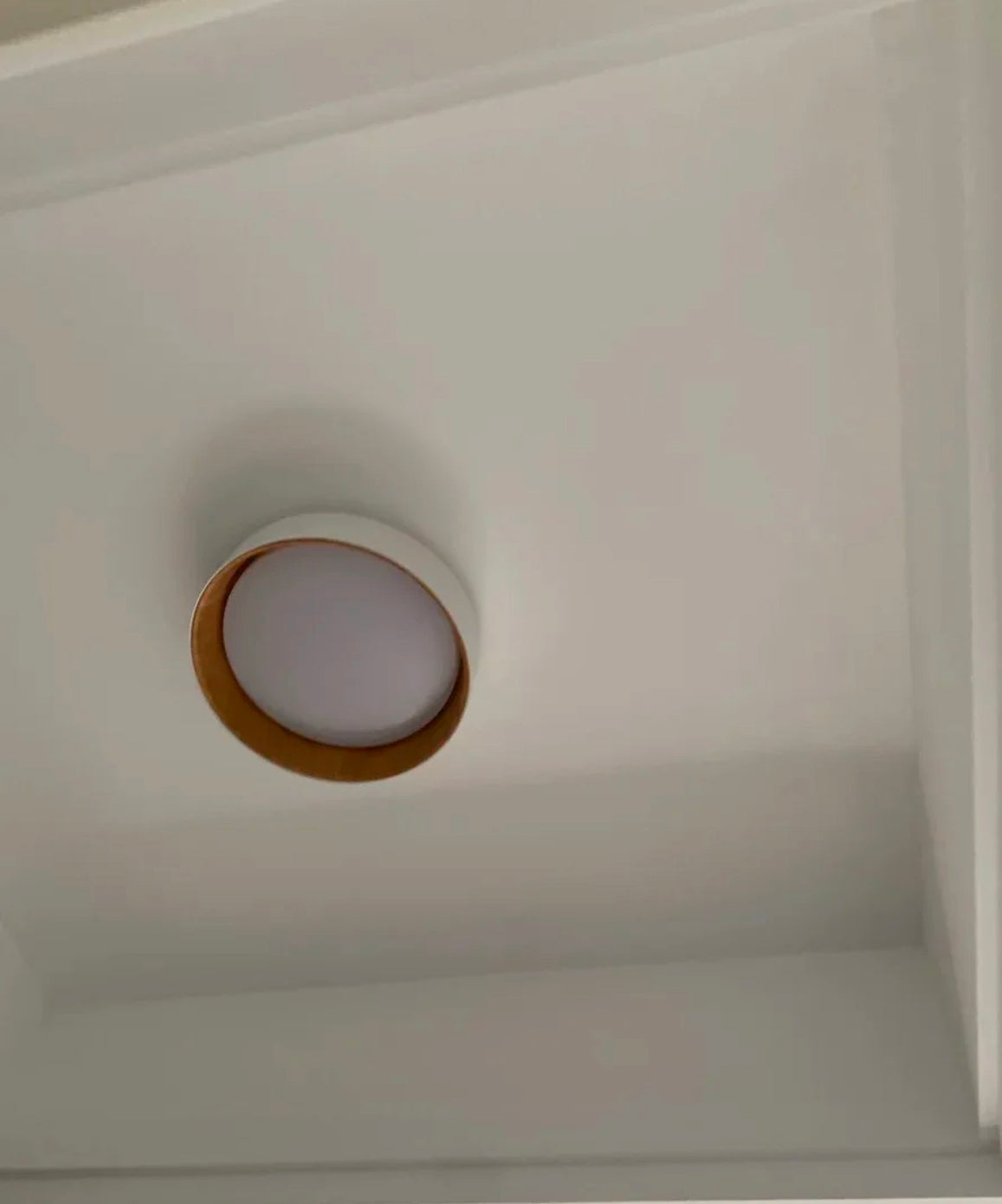 LumaNest Minimal Flush Mount Ceiling Light With Wood Grain Accent