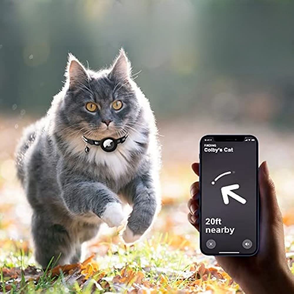 PawGuard GPS-Tracker-Halsband für Katzen mit reflektierendem Sicherheitsverschluss für Katzenbesitzer