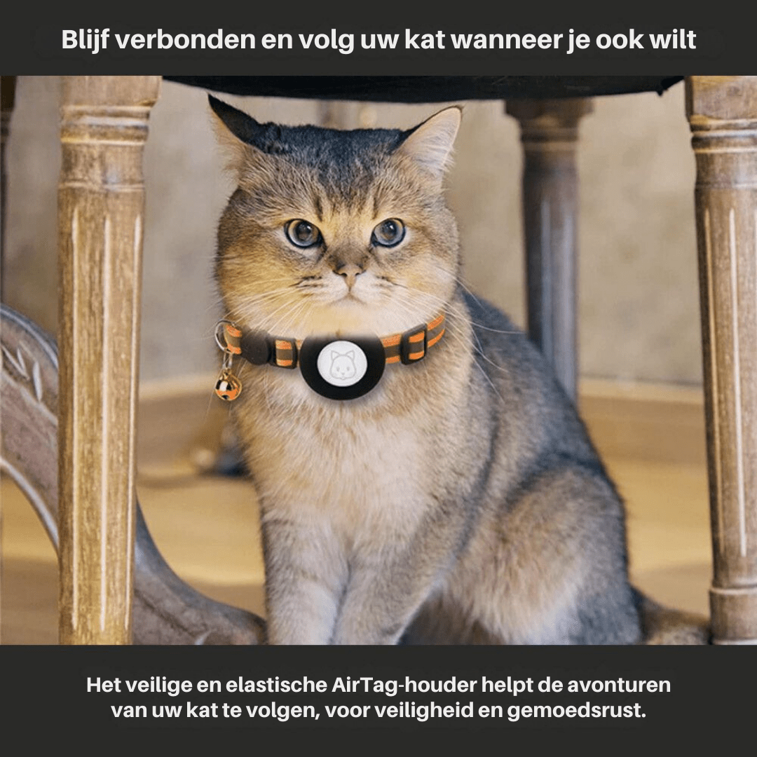 PawGuard GPS-Tracker-Halsband für Katzen mit reflektierendem Sicherheitsverschluss für Katzenbesitzer
