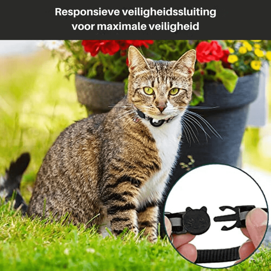 PawGuard GPS-sporingskrage for katter med reflekterende sikkerhetsspenne for katteeiere