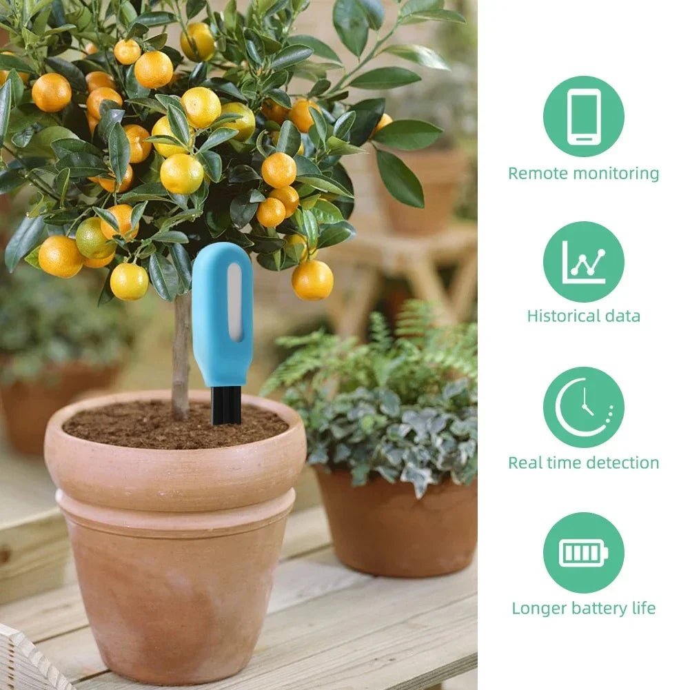 BrightGrow Smart Soil Tester With Real-Time Monitoring For Gardeners