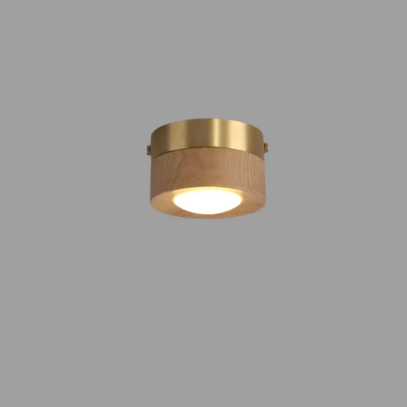 SylvaLume Valnød LED Loftlampe Blødt Stemningslys