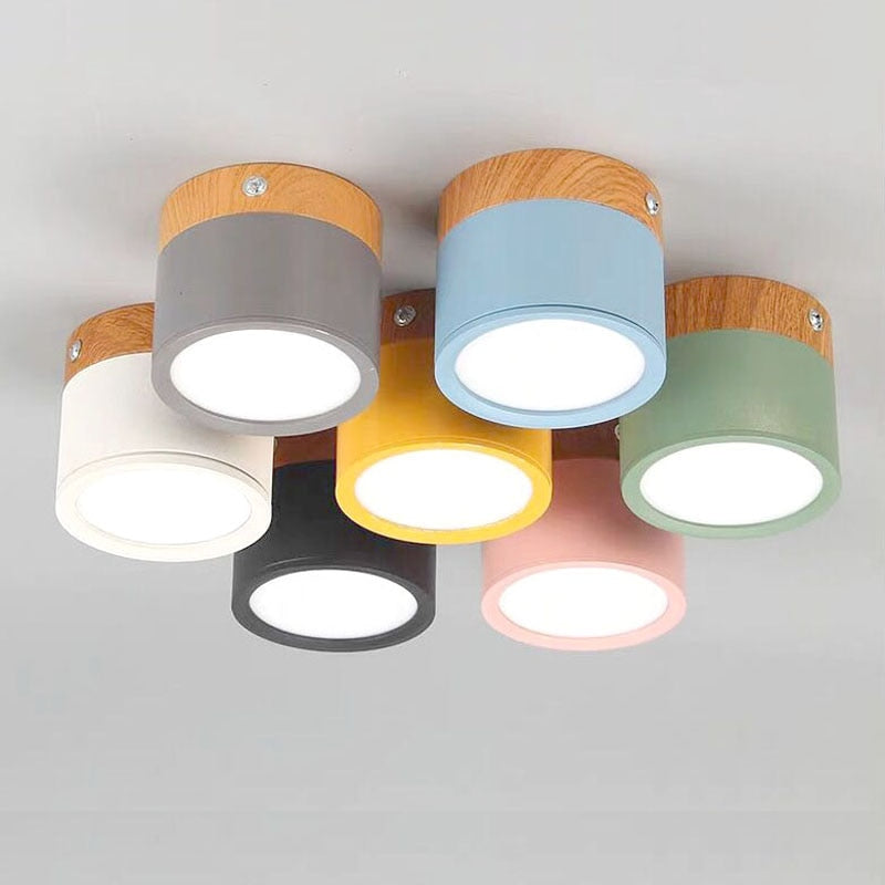 LumaNova Ceiling Light | LED Downlight for Living Room