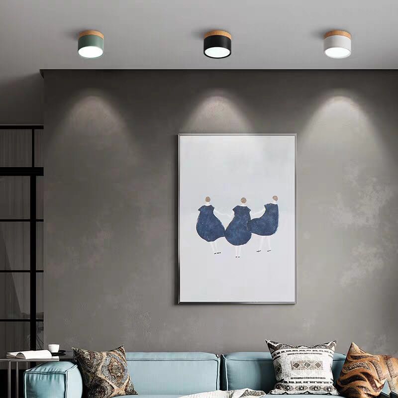 LumaNova Ceiling Light | LED Downlight for Living Room
