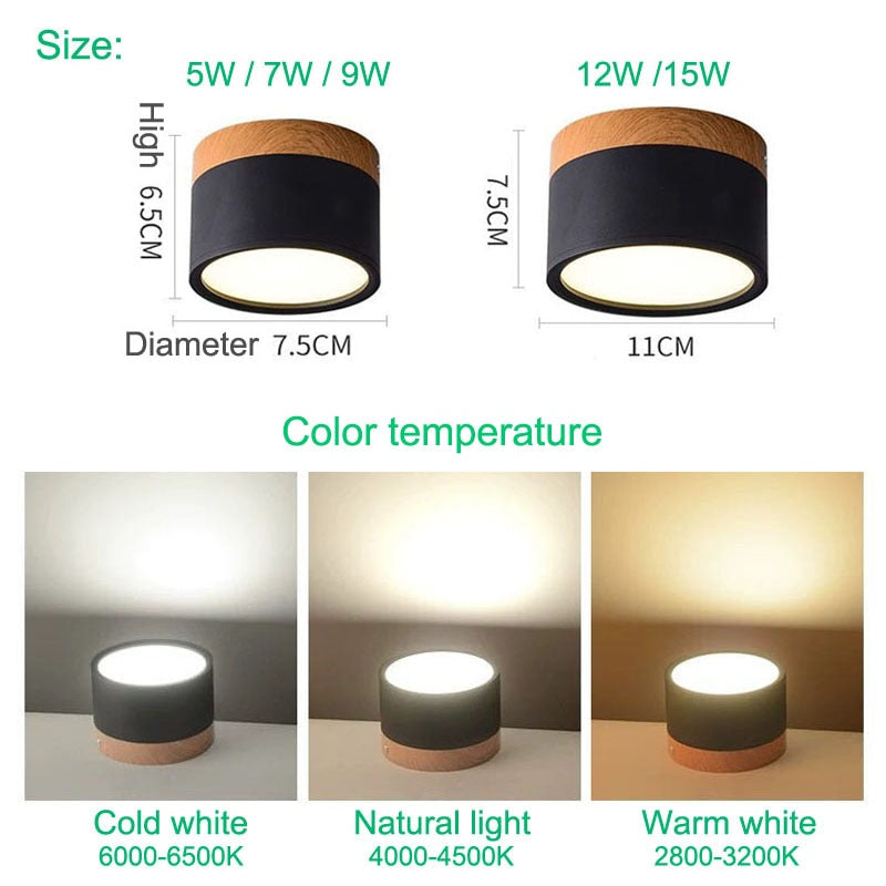 LumaNova Ceiling Light | LED Downlight for Living Room