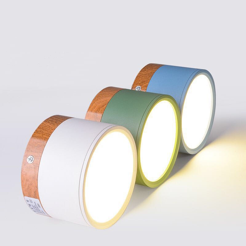 LumaNova Ceiling Light | LED Downlight for Living Room